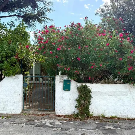 Numana, Trilocale Con Giardino - N149 Numana